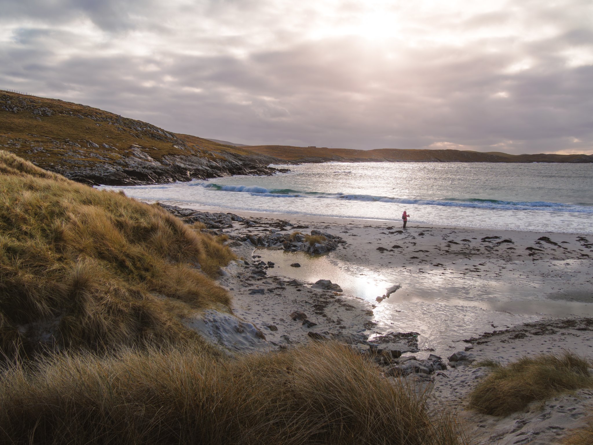 Shetland Stole My Heart